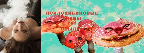 мдма Няндома