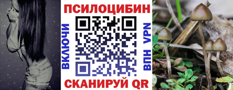 мориарти Telegram  Кондопога  Псилоцибиновые грибы мухоморы  где найти  